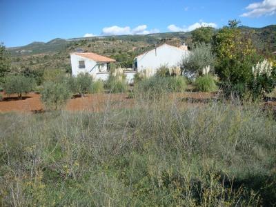 3b  , 1ba   in Teresa De Cofrentes,  Valencia And Costa del Azahar   - 99000  EUR