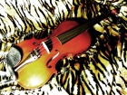 Magnífico violín 3/4 - mejor precio | unprecio.es
