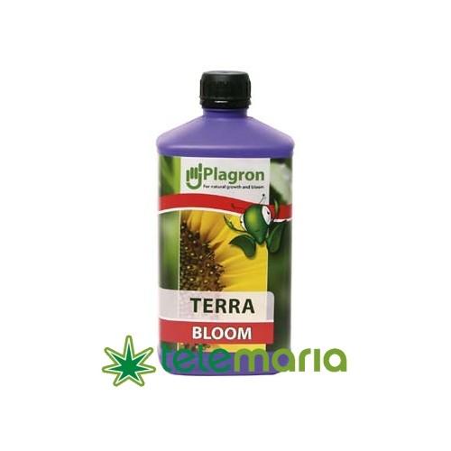 Terra Bloom