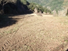 Agricultura ecologica." Alquiler de terrenos en Osor" - mejor precio | unprecio.es