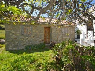 Finca/Casa Rural en venta en Casares, Málaga (Costa del Sol)