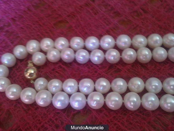 vendo magnifico  collar de perlas Australianas