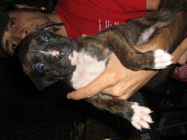 ULTIMO BOXER!!!