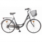 Bicicleta Amat Florida 6V Con Accesorios - mejor precio | unprecio.es
