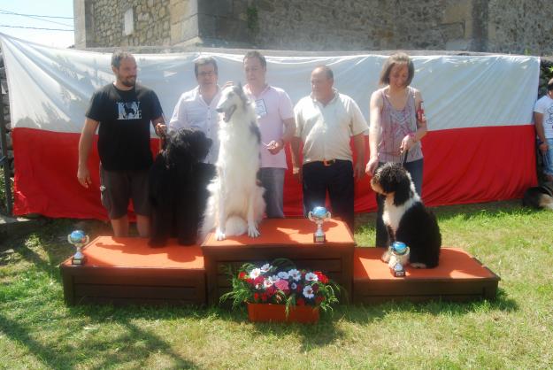 IV CONCURSO CANINO VALLE DE TORANZO