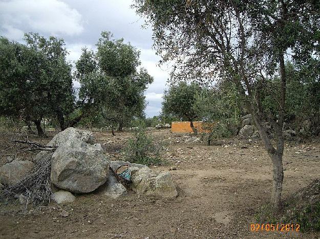 Finca rústica en Santa Marta