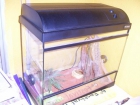 VENDO TERRARIO PARA REPTILES 50X25X45 - mejor precio | unprecio.es