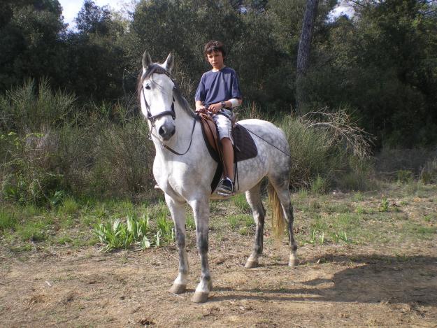 YUGUA PURA RAZA ESPAÑOLA