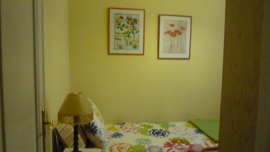 Preciosa habitacion individual en piso muy confortable
