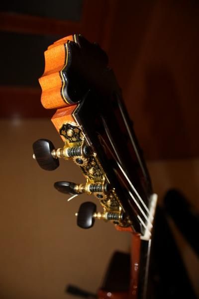 GUITARR FLAMENCA PALOSANTO