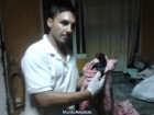 camada de doberman horus del mediano vs thor de rio alto - mejor precio | unprecio.es