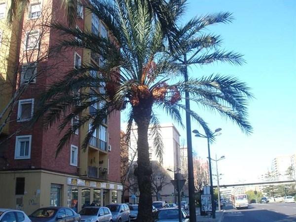 Piso en Valencia