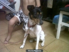 vendo bodeguero andaluz - mejor precio | unprecio.es