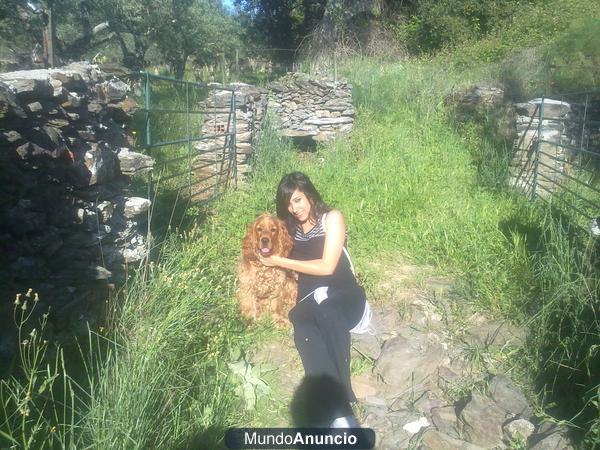 CUIDADORA DE PERROS
