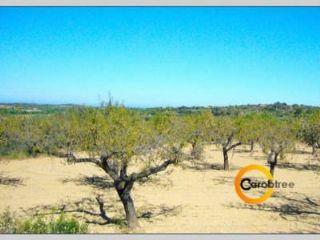 Terreno/Finca Rstica en venta en Cervera del Maestre/Cervera del Maestrat, Castellón (Costa Azahar)