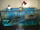 VENDO ACUARIO 360 LITROS - mejor precio | unprecio.es