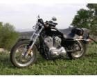 HARLEY DAVIDSON XL 883 SPORTSTER - mejor precio | unprecio.es
