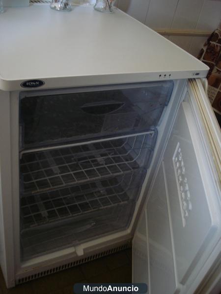 SE VENDE CONGELADOR ECRON MODELO ADVANTA