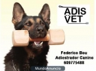 ADIESTRADOR CANINO A DOMICILIO EN BARCELONA PROVINCIA - mejor precio | unprecio.es