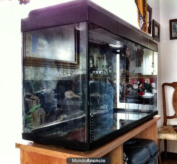 Vendo Acuario con accesorios