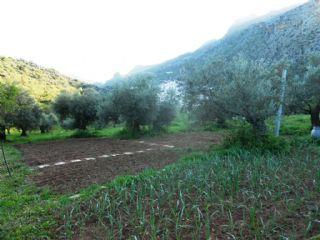 Finca/Casa Rural en venta en Ronda, Málaga (Costa del Sol)