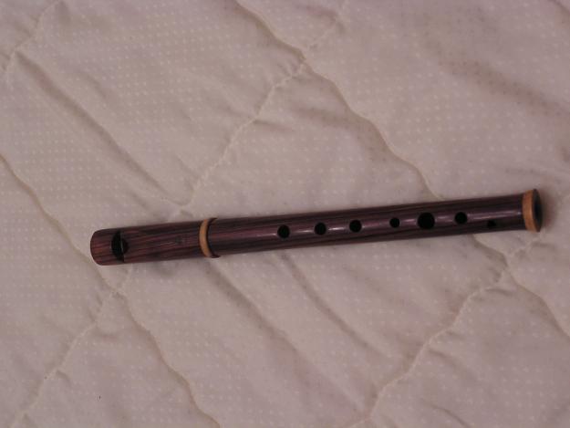 Vendo pinfano dijitacion dulzaina aragonesa