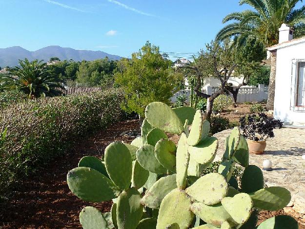 Chalet en Calpe/Calp
