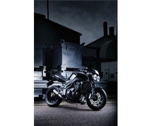 TRIUMPH SPEED TRIPLE