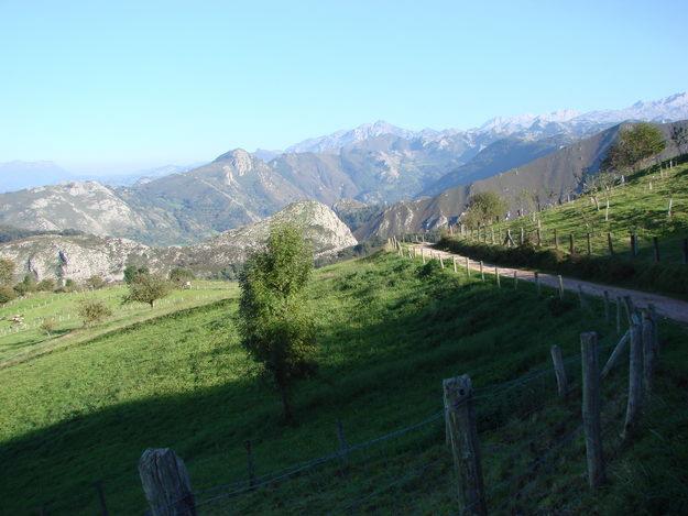 PARCELAS EDIFICABLES CON VISTAS A LOS PICOS DE EUROPA. A 5 KM DE CANGAS DE ONIS.