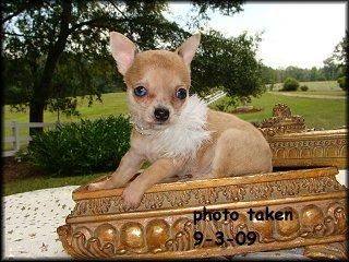 fotos de mis amigas en santa barbara Chihuahua