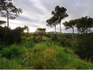 Terreno/Finca Rstica en venta en Tamariu, Girona (Costa Brava)