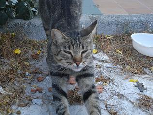 Susi mi niña no te mereces otra vez el abandono