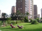 Piso en Benidorm - mejor precio | unprecio.es