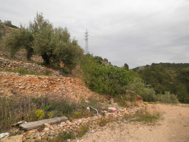 Finca rústica en Tortosa