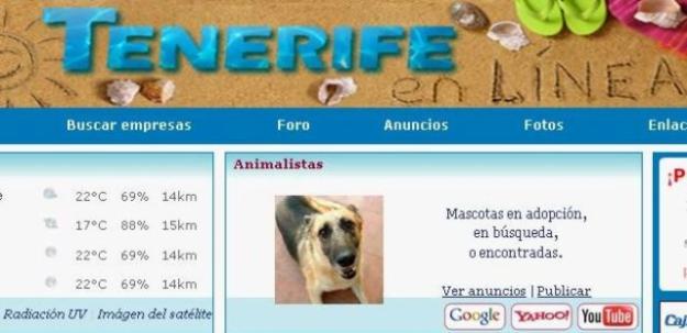 No compres. Adopta