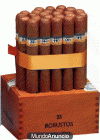 vendo cajas de puros COHIBA ESPLENDIDOS Y COHIBA ROBUSTO.badalona - mejor precio | unprecio.es