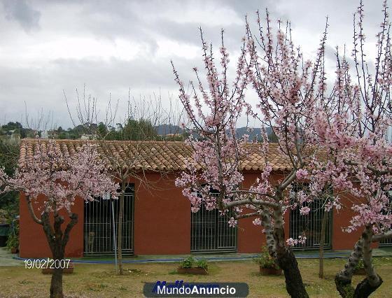 RESIDENCIA-HOTEL CANINO MALLORCAN