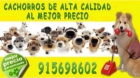 Tropifauna tu tienda de mascotas en Madrid - mejor precio | unprecio.es