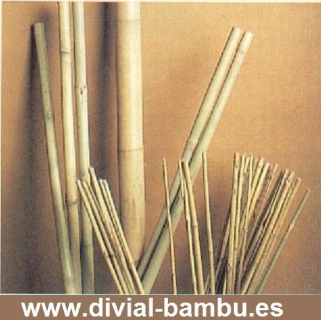 Caña de Bambú para Decoración DIVIAL Bambú