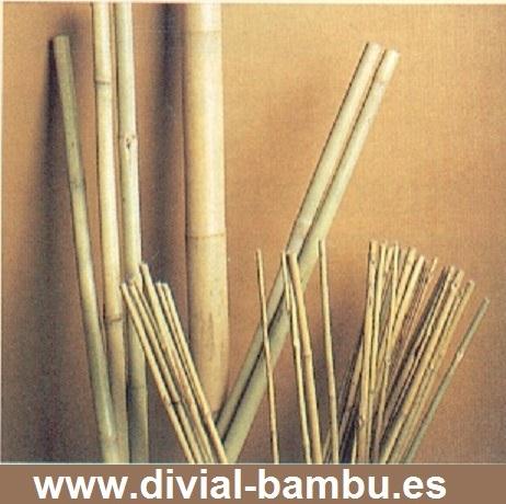 Caña de Bambú para Decoración DIVIAL Bambú