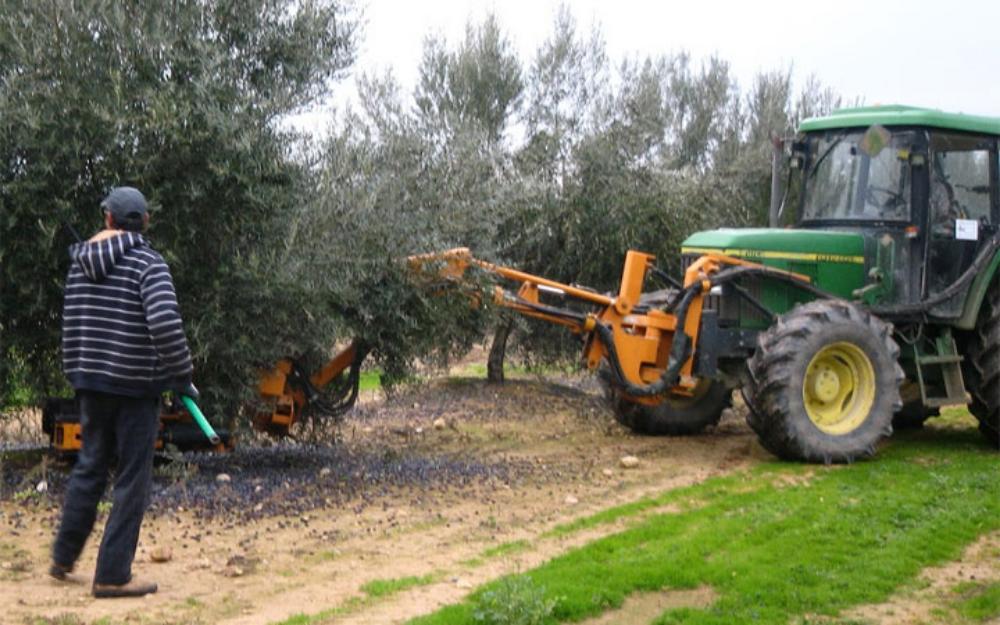 Finca agrícola en jaen