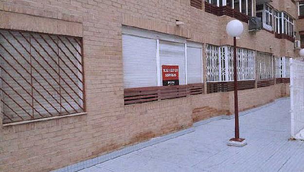 Estudio en Torrevieja