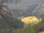Visita la Reserva de Animales de Valdeserrillas. Flora y Fauna de la Peninsula Autoctonos - mejor precio | unprecio.es