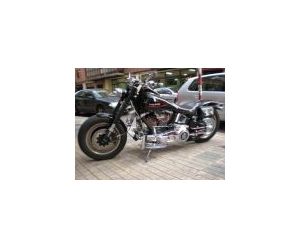 HARLEY DAVIDSON SOFTAIL FAT BOY