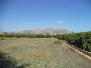 Terreno/Finca Rstica en venta en Pedreguer, Alicante (Costa Blanca)