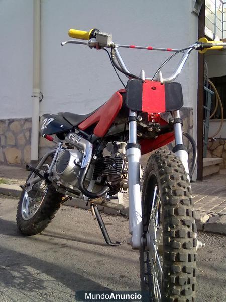 Vendo pit bike 110 cc.