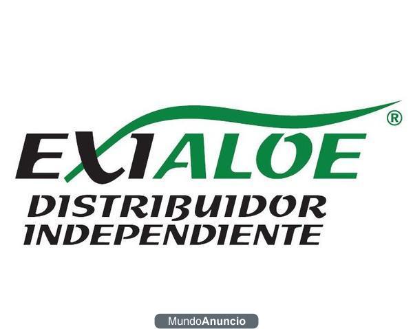 El mundo del Aloe Vera a tu alcance