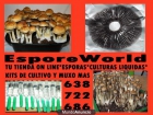 ESPOREWORLD!! BUSCANOS EN FACEBOOK ESPORAS DE PSILOCYBE CUBENSIS EN 48H CULTIVA TUS PROPIOS HONGOS A BAJO COSTE! - mejor precio | unprecio.es