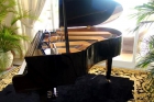 Piano de Cola Yamaha GA1 Disklavier con Piano Disc - mejor precio | unprecio.es