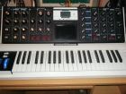 Minimoog Voyager Select Series - mejor precio | unprecio.es